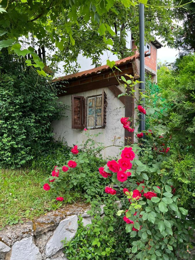 Appartement Queen à Visoko Extérieur photo